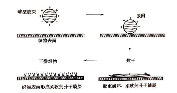 【便民】洗衣凝珠、柔顺剂、防染色片，这些洗衣用品怎么用？