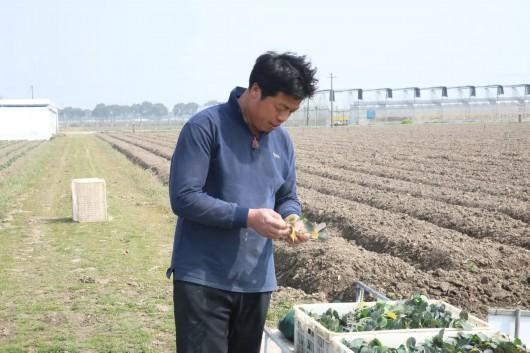 机械臂洒水、全自动播种流水线...奉贤青村镇打造科技兴农样板间