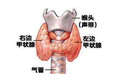 发热咽痛，可能不是感冒，而是另一种更严重的病！