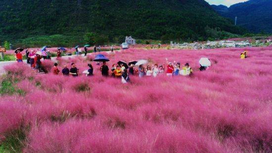 重庆酉阳奏响乡村振兴进行曲