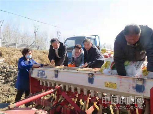 【乡村振兴新天地】确保夏粮生产——天津市农业中心指导各区加强小麦田间管理