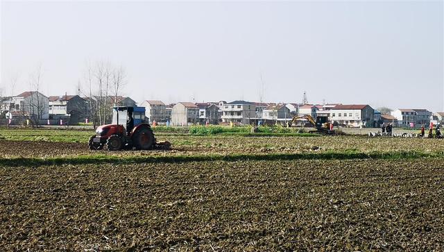 提升粮食生产能力 武汉规划10年建设270万亩高标准农田