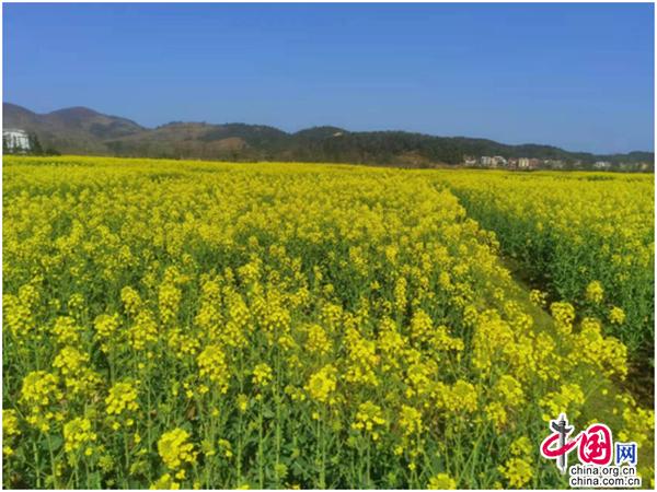 湖南邵阳易洋村：抓好本土特色 建设美丽乡村