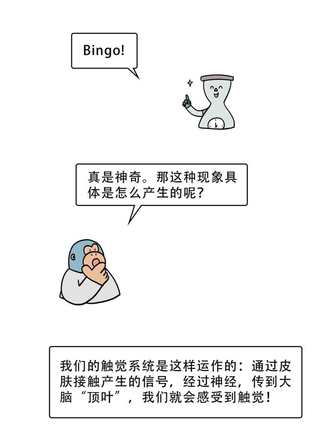 为什么你总有手机在震的幻觉？