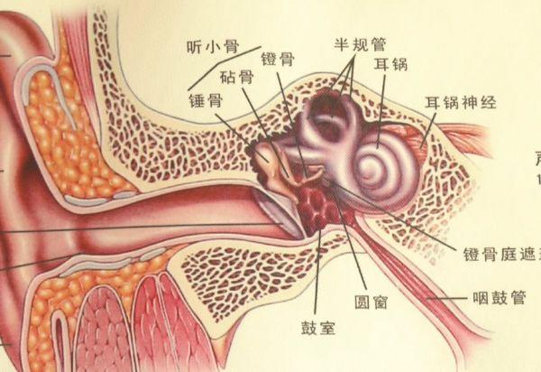 女子耳朵得“脚气”？有这个习惯的要注意了