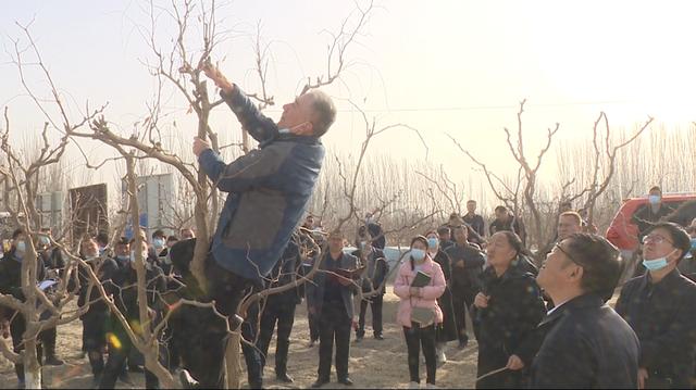 库车市召开春季农业生产推进会暨林果业提质增效现场培训会