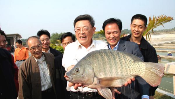 靠地吃鱼还是靠海吃鱼？中国学者领衔在《自然》杂志发文：淡水养殖被严重低估