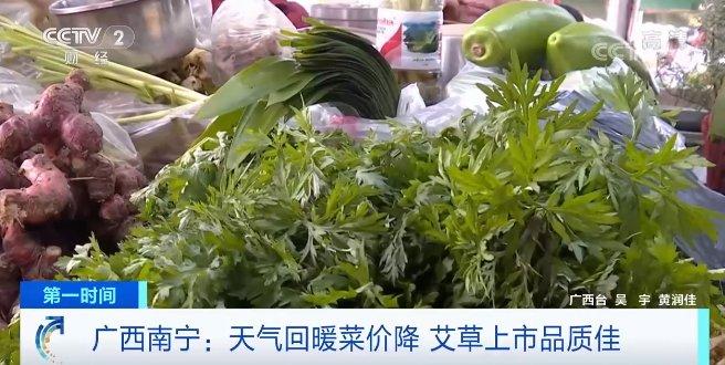 广西南宁：天气回暖菜价降 艾草上市品质佳