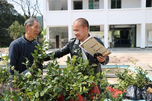 玉屏大力发展油茶产业 助推青山变“金山”