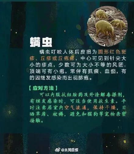 提高警惕！遇到这些虫子千万别乱拍，严重可致命…