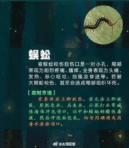 提高警惕！遇到这些虫子千万别乱拍，严重可致命…