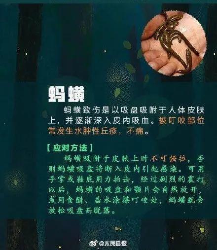 提高警惕！遇到这些虫子千万别乱拍，严重可致命…