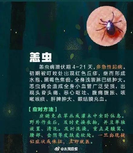 提高警惕！遇到这些虫子千万别乱拍，严重可致命…