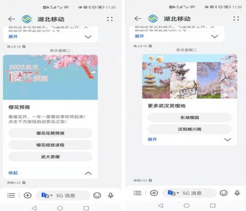 武汉赏樱预报首次以5G消息形式投递市民