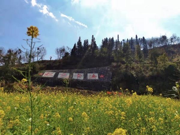 望谟卡法村：春天从这抹金黄色的油菜花开始