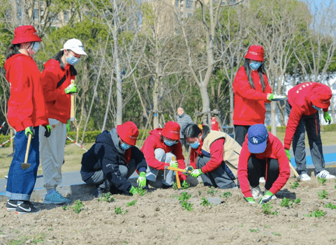 桑树薄荷车前草，别错过郊野这些美植，上海中医学子植树节“与百草有约”