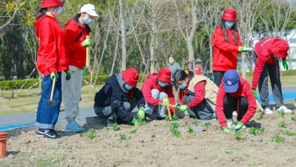 原来这些常见草木还能用来抗疫！中医药学子植树节种下“六味”，我为百草代言