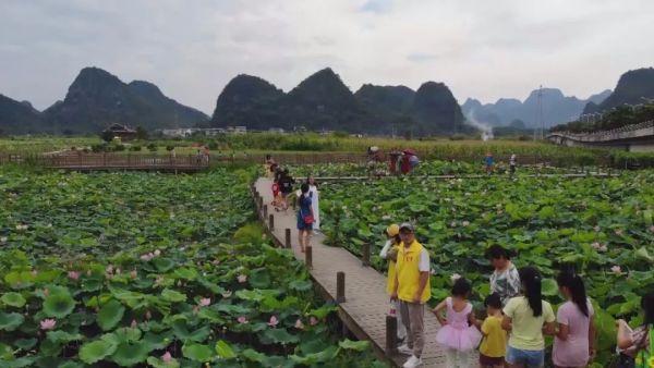 灵芝菇撑开“致富伞” 美丽乡村解乡愁