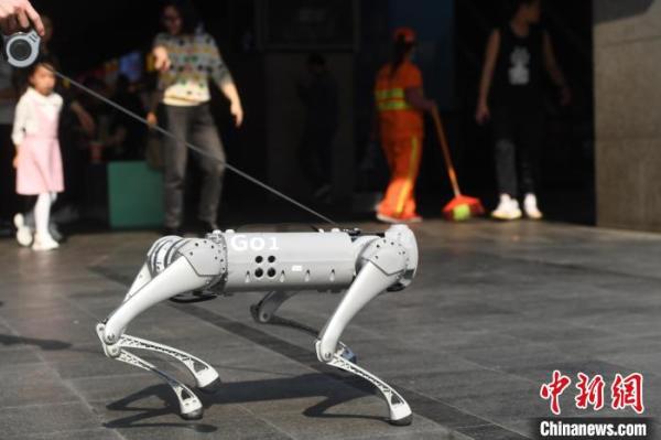 重庆市民闹市遛机器宠物狗引围观