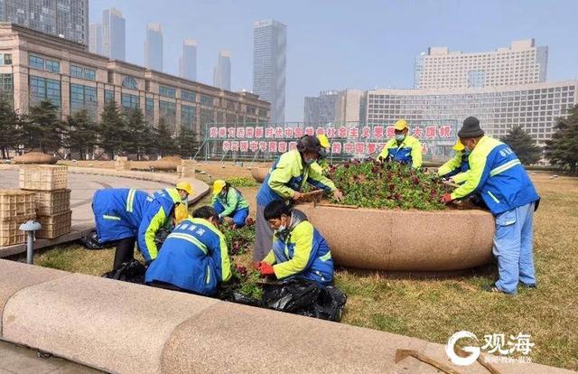 春色集中“上新”！前海一线春季花卉更新开启