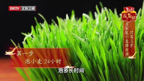 春天吃豆芽、青菜不如吃它！清热祛火，缓解失眠、便秘，在家就能种