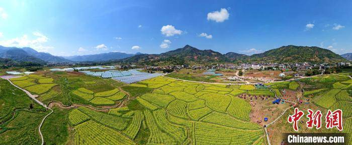 福建闽侯油菜花海引客来