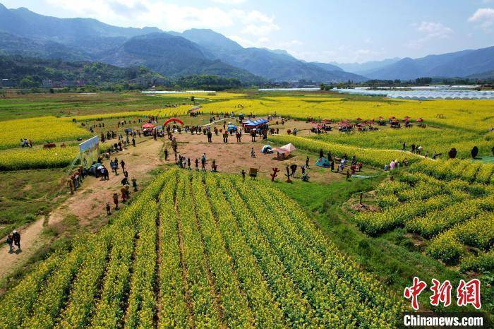 福建闽侯油菜花海引客来