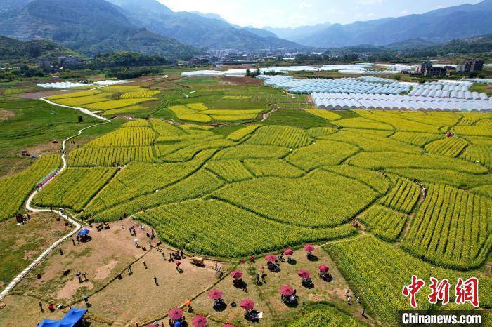 福建闽侯油菜花海引客来