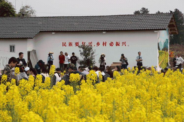 以花为媒助力乡村振兴 聆听花田中的春日赞歌