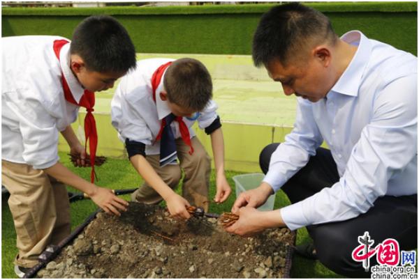 种艾草、识中药， 成都实验小学青华分校将中医药文化引进校园