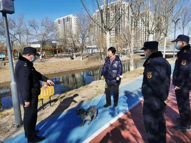 观音寺街道实名定制“小金牌”推动文明养犬“不掉链”