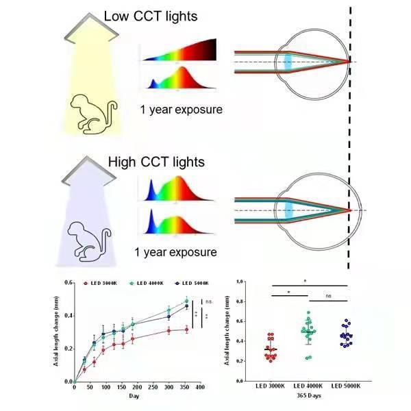 警惕！光源色温过高可能引发近视