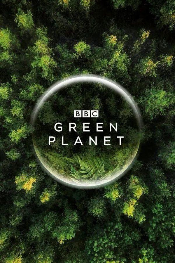 全球首部沉浸式植物纪录片，一起走进奇妙的“绿色星球”