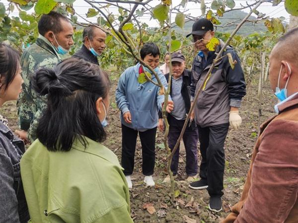 水稻奖补300元/亩……观山湖区出台培育新型农业经营主体高质量发展工作方案