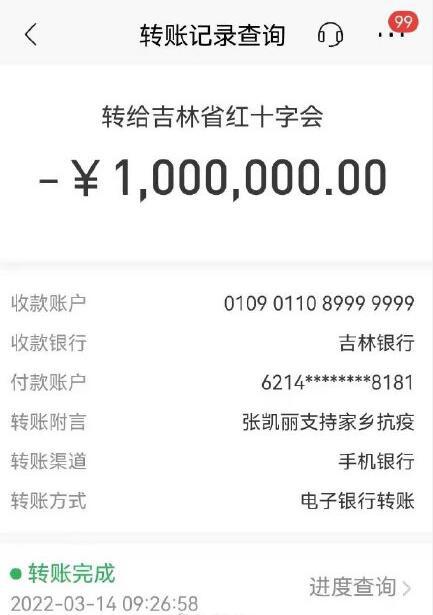 低调做好事！张凯丽捐款100万元支持吉林抗疫