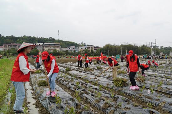 横州市：栽花植树修水利 兴产助农促振兴