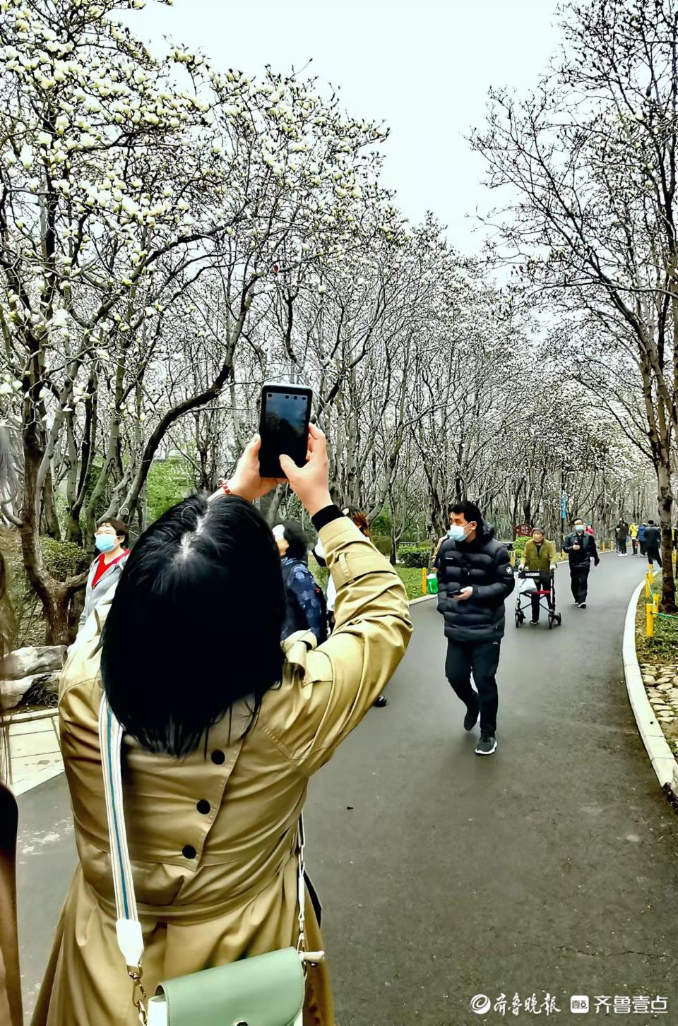 手机相机齐上阵 百花公园拍花人