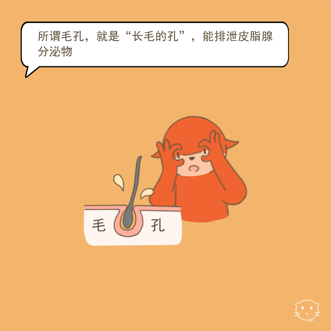 为什么有的人没有毛孔?人家只是比较小