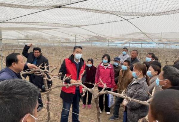 兰考闫楼：省农科院专家村里开办葡萄高效生产技术培训会