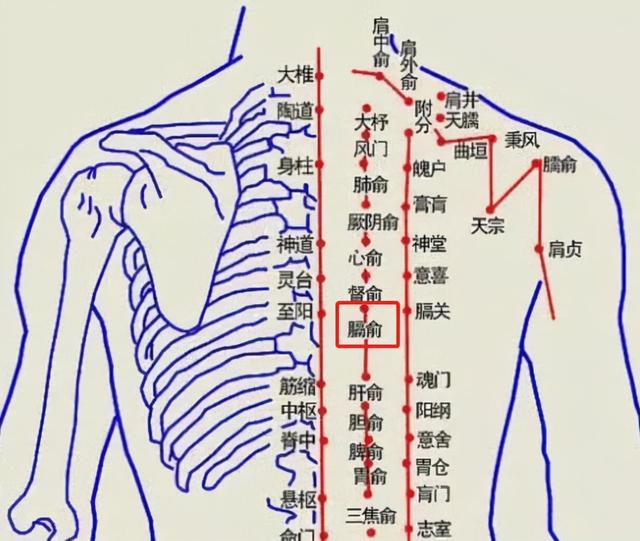 人体后背有一穴，可活血化瘀防大病，让全身气血动起来！