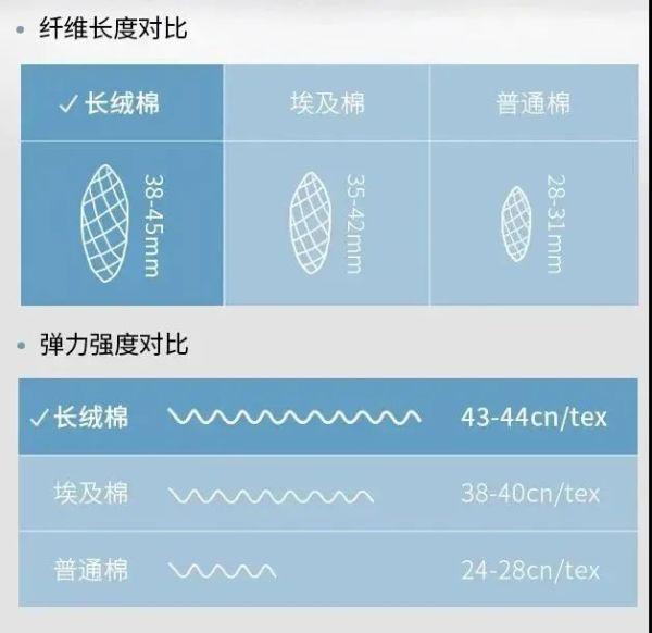 几块钱就能穿“3季”的新疆长绒棉袜，舒服还防臭，透气一整天