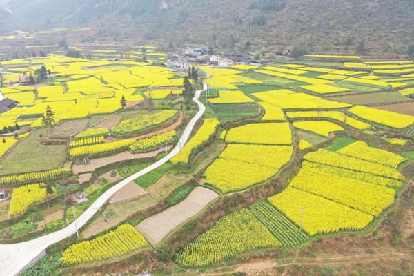 思南张家寨镇：建设高标准农田为乡村振兴蓄能助跑