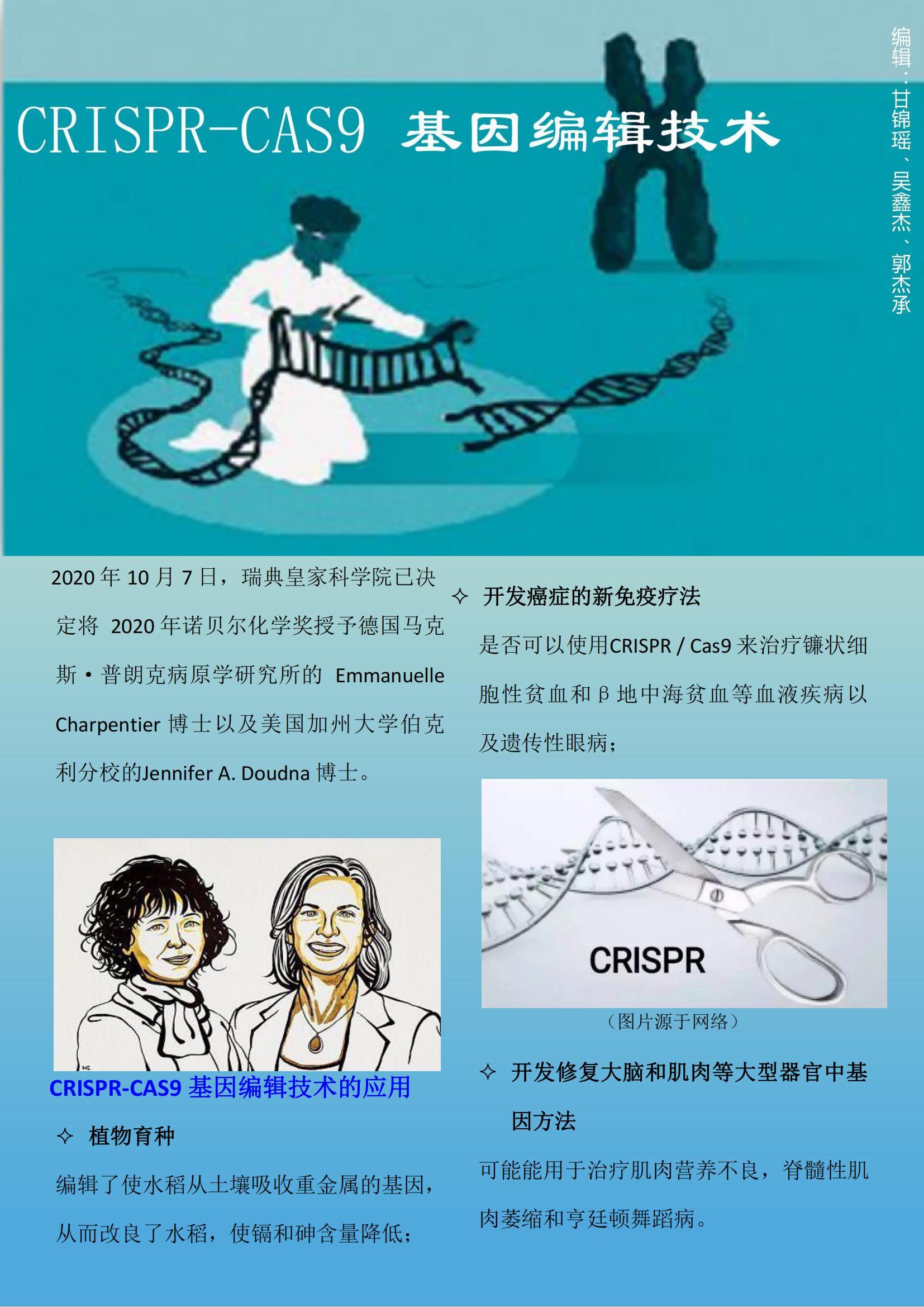 CRISPR-CAS9基因编辑技术