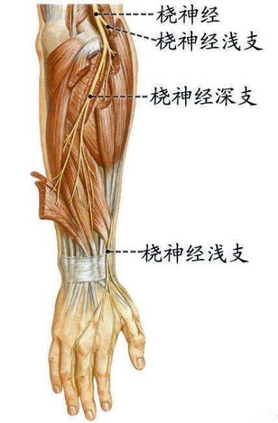 湖南一女子枕手臂午睡1个小时，结果右手“瘫”了