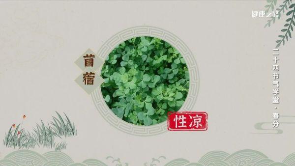 明日春分，调节阴阳正当时！｜健康之路