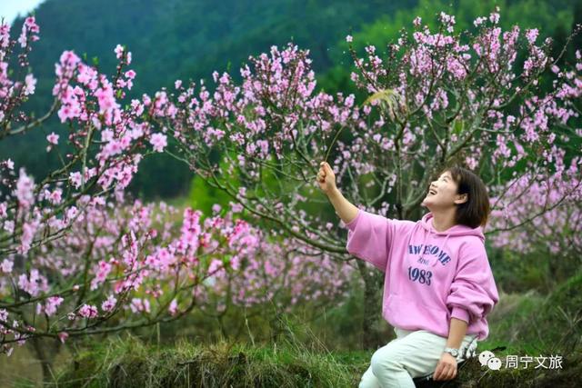 别emo了！一起“云赏花”，感受春的治愈