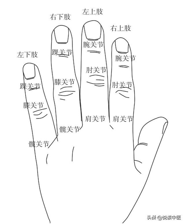 藏在手上的治病秘诀