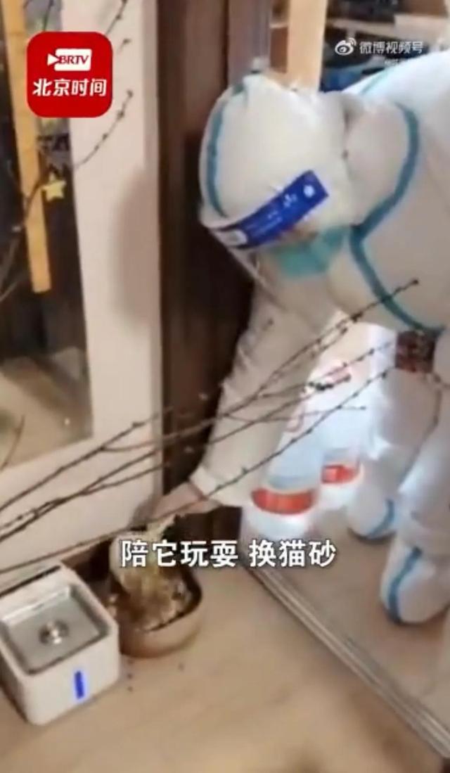 主人被隔离社区工作人员化身撸猫小能手