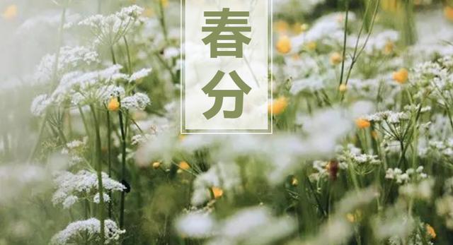 春分时节养生需要注意什么？