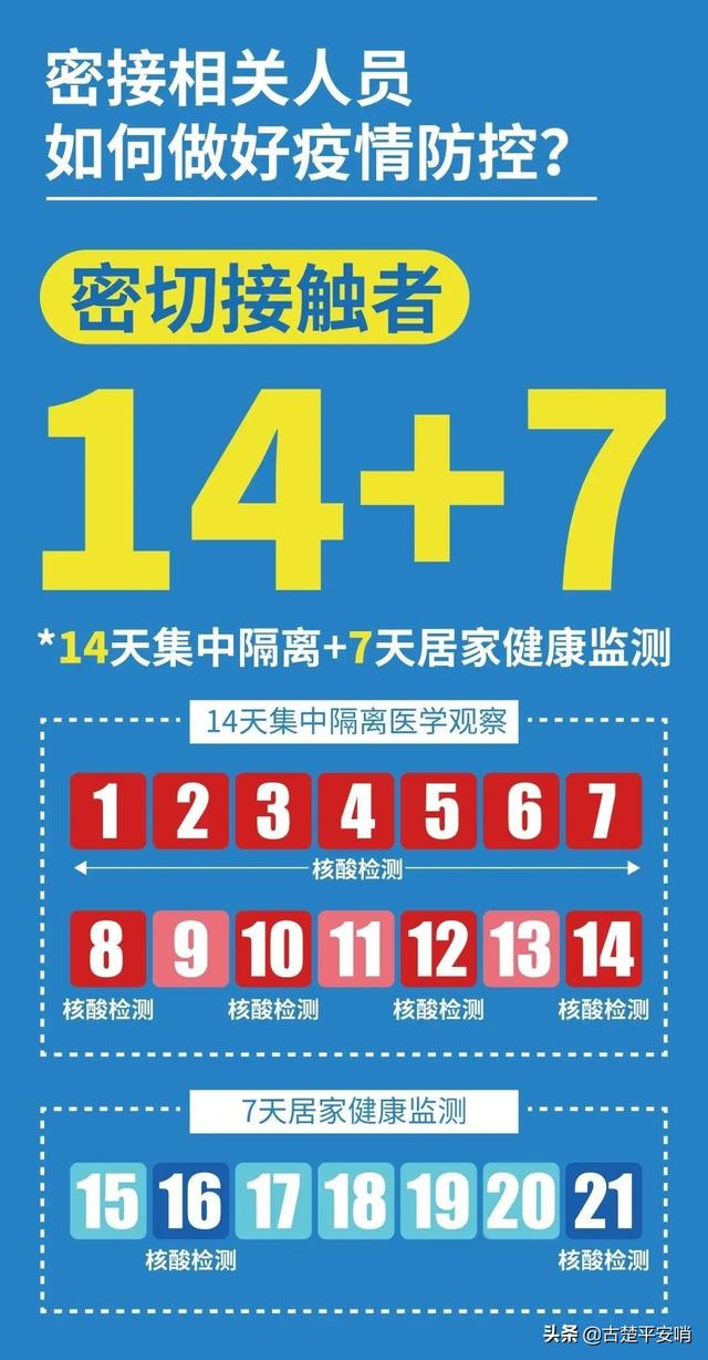 “14+7”“14+14+28”…健康管理措施解读来啦！